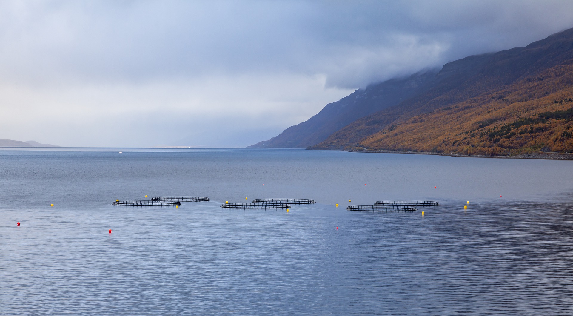 aquaculture
