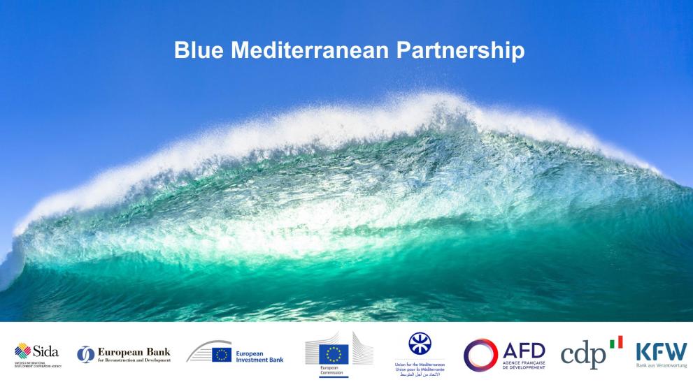 blue-med-partnership