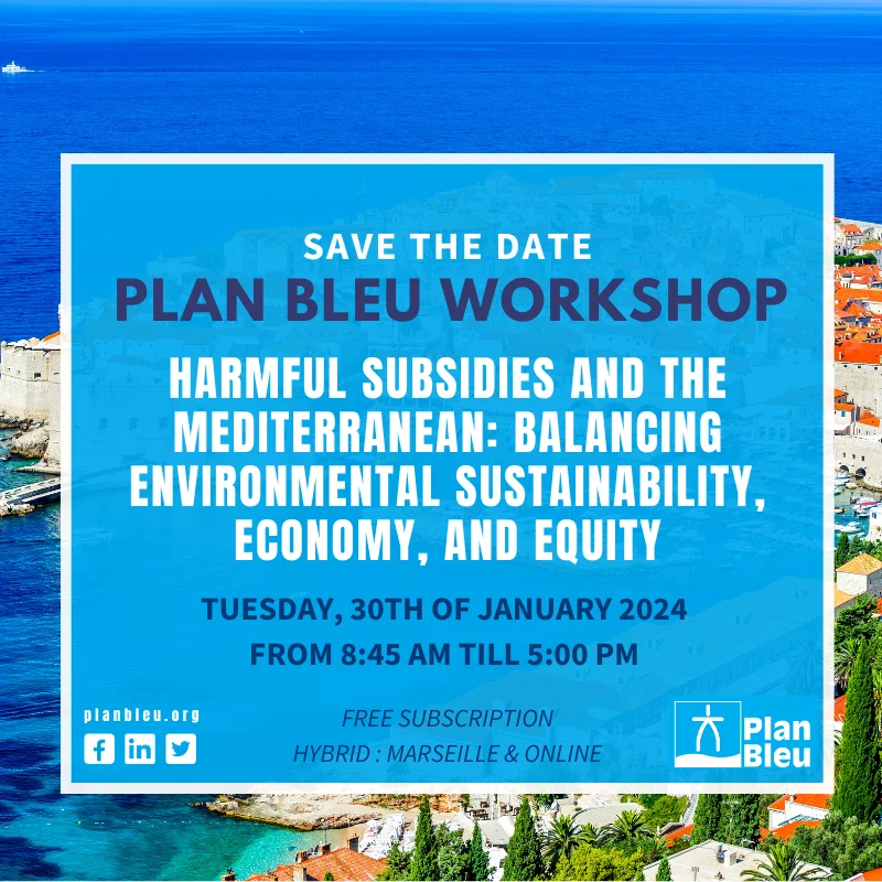 SAVE-THE-DATE-PLAN-BLEU-en-3