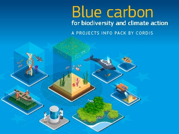 blue-carbon