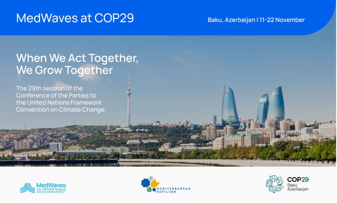 MEDWAVE-COP29