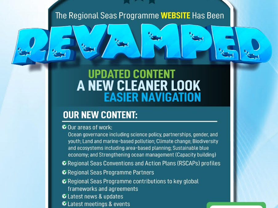 NES-WEB-SITE-unep-regional-904x675